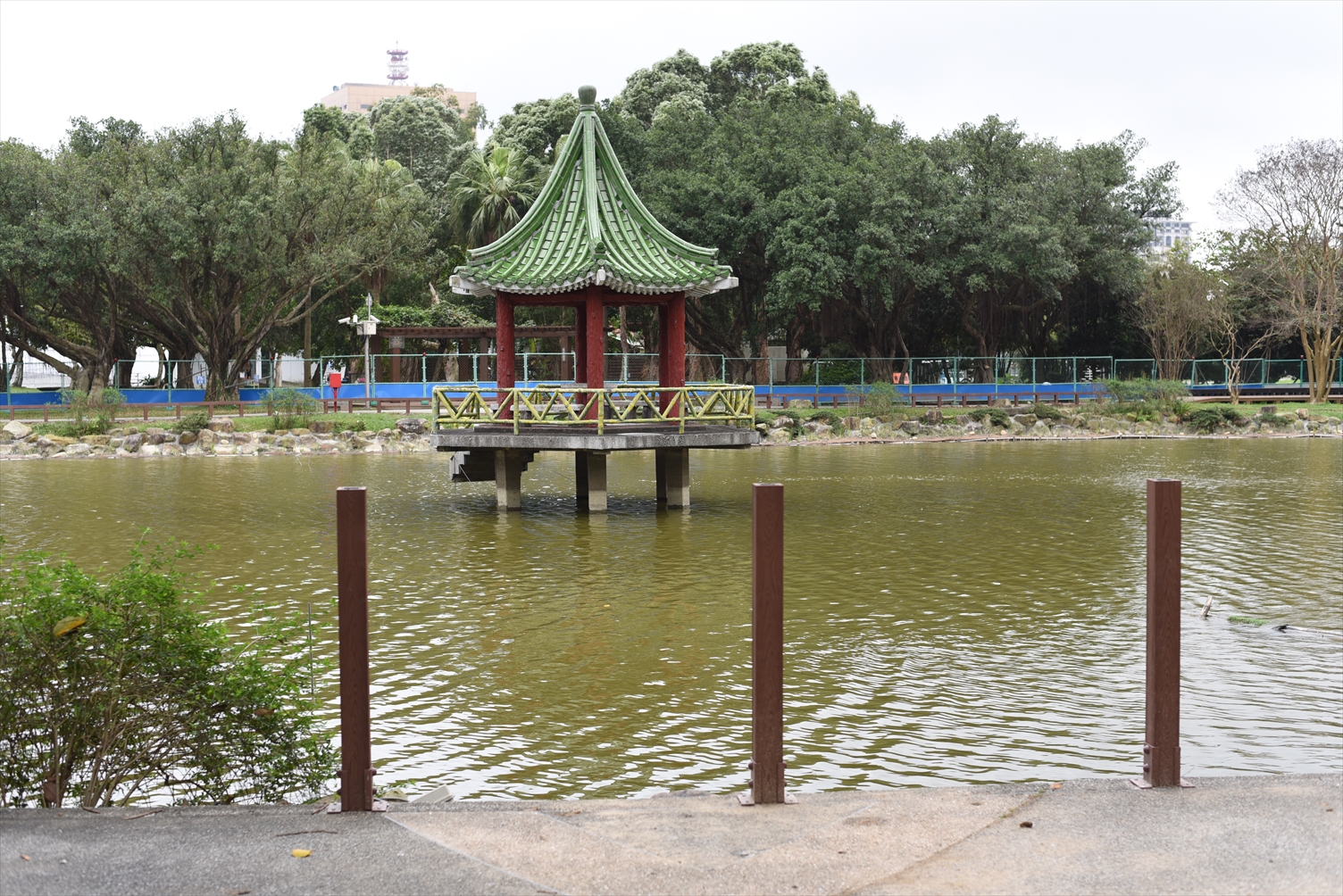 台湾大学　池